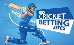 Best Online Cricket Betting Sites in India