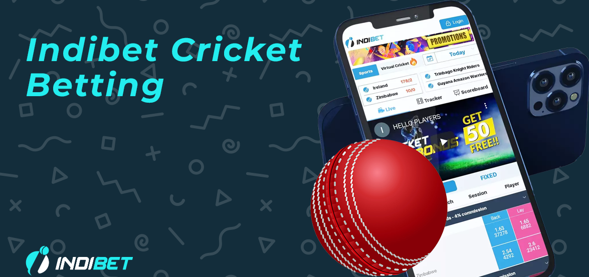How to Bet on Cricket Online in India on Indibet [2024]